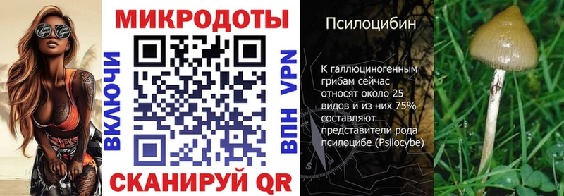 mega зеркало  купить   Североуральск  Псилоцибиновые грибы Psilocybine cubensis 